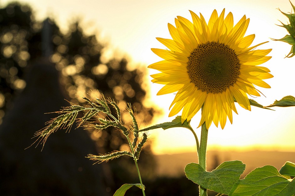 Wordze Summer 2025 Update: New Features & Improvements ☀️